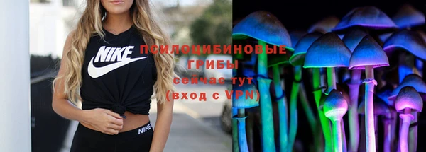 гидропоника Сясьстрой