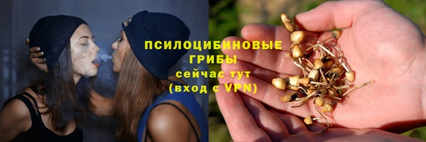 метадон Тайга