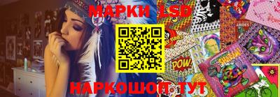 PSILOCYBIN Заводоуковск