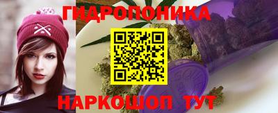 PSILOCYBIN Заводоуковск