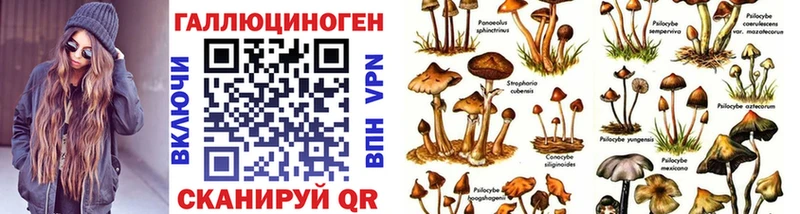 OMG ТОР Туймазы Галлюциногенные грибы MAGIC MUSHROOMS