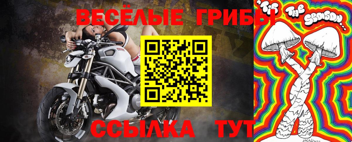 Галлюциногенные грибы мухоморы Туймазы